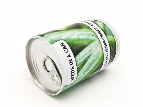 Sadzonka w puszce ogórek na Arena.pl