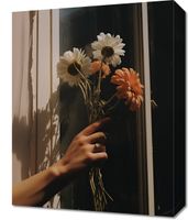 product-compare-59476705