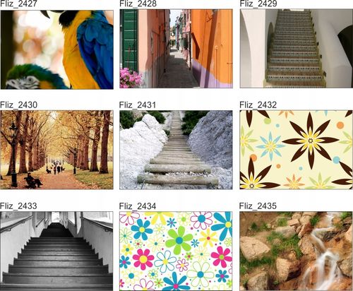 FOTOTAPETA ZWIERZĘTA PAPUGI NATURA NA WYMIAR na Arena.pl