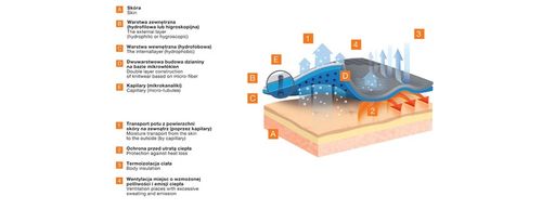 SLIPY BRUBECK TERMO męskie BE10040 3D potówki r XL na Arena.pl