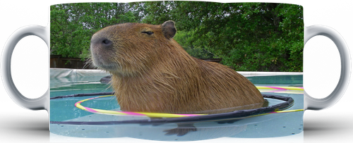 Kubek ceramiczny Kapibara na Arena.pl