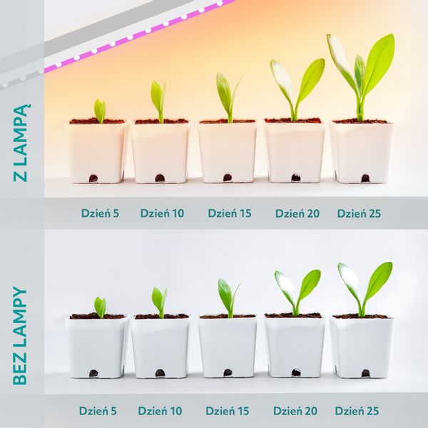 Lampa LED DO WZROSTU ROŚLIN 20W regulacja TIMER biała DO UPRAWY adapter na Arena.pl