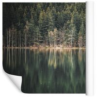 Fototapeta Jezioro Las Rośliny NATURA do Salonu 450x300