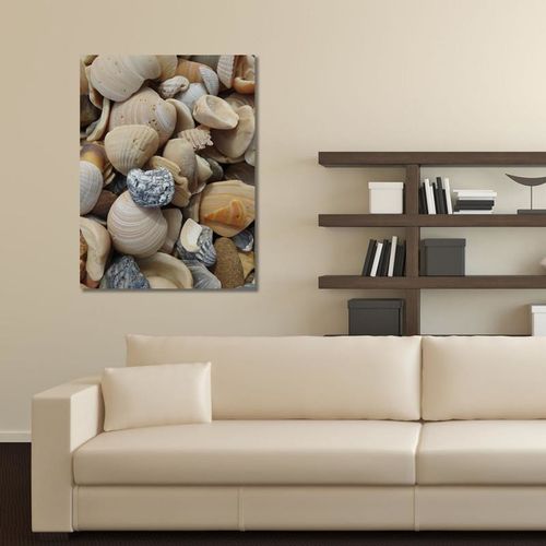 Deco Panel, Muszelki 2 80x120 na Arena.pl