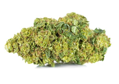 Susz konopny CBD AK 47 SUPER AMSTERDAM 1g na Arena.pl