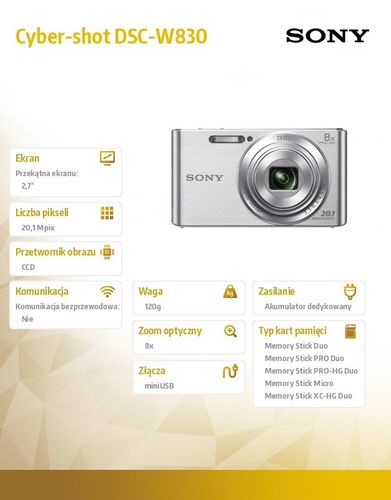 Sony Cyber-shot DSC-W830 silver na Arena.pl