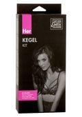 hers kegel kit purple