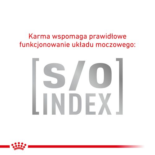 royal canin hypoallergenic 4,5kg na Arena.pl
