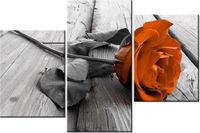 60 90CM OBRAZ 3 ELEM RÓŻA HEBRACIANA ŚCIENNY DRUK PŁÓTNO