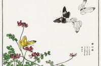 Plakat 91,5x60cm Motyle i Kwiaty Morimoto Toko Japoński Vintage do Salonu