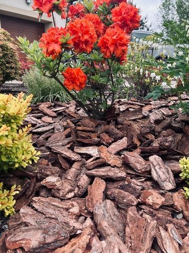 KORA SOSNOWA 80-130mm 8-13cm PREMIUM SORTOWANA MEGA GRUBA 50L na Arena.pl