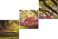 product-compare-58672528