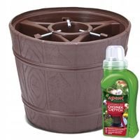 Stojak choinkowy do 2,5m z odżywką do choinek ciętych Agrecol