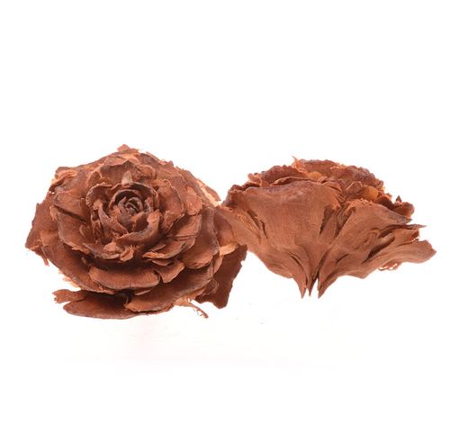 Róża cedrowa naturalna x2 na Arena.pl