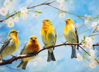 Plakat 55x40cm Wiosenne Pogwizdy