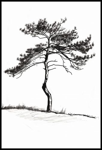 Plakat 61x90,5cm Samotna Sosna na Arena.pl