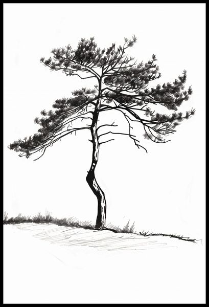 Plakat 61x90,5cm Samotna Sosna zdjęcie 2