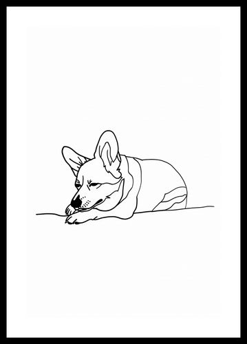 Plakat 30x45cm Śpiący Corgacz na Arena.pl