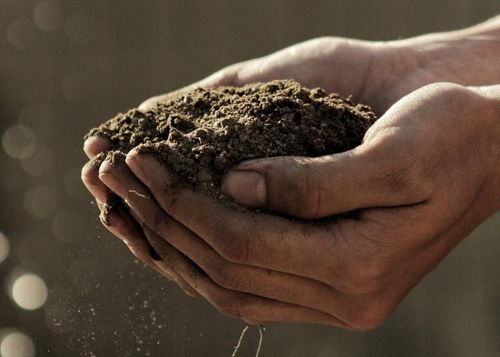 Ziemia Do Iglaków 50L KIK na Arena.pl