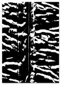 Plakat czarnobiały zebra 30x40 cm