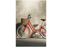 100 70CM OBRAZ PŁÓTNO CZERWONY ROWER PŁÓTNO RAMA