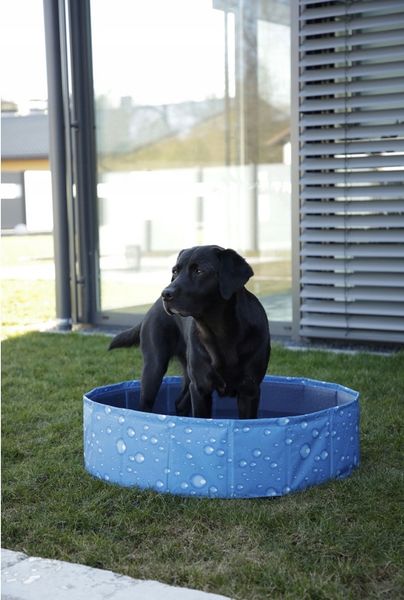 Basen dla psa Bubble, 80 x 80 x 20 cm Kerbl zdjęcie 4