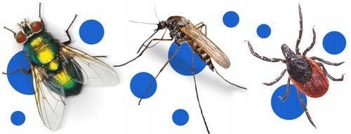 bros - spray na komary i kleszcze 50% deet 90ml - 2 szt. na Arena.pl