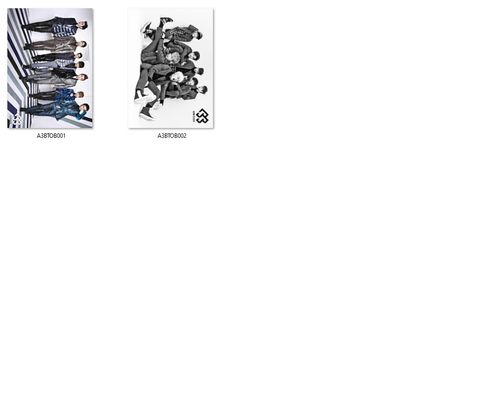 Plakat A3 Born To Beat DO WYBORU na Arena.pl