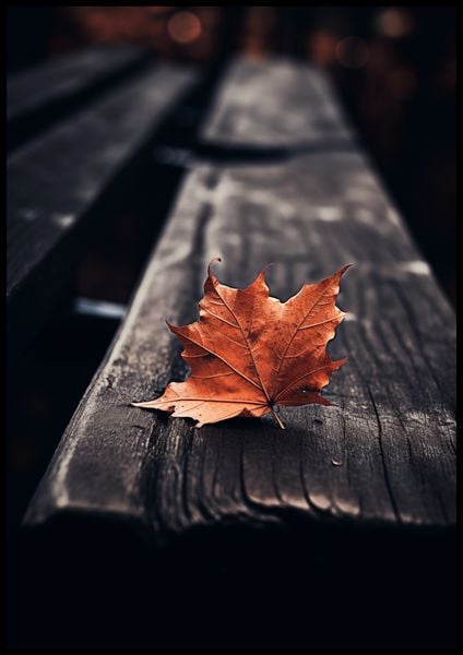 Plakat 70x100cm Pojedynczy Liść zdjęcie 2