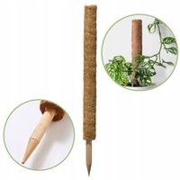 Palik kokosowy 45 cm podpora do roślin tyczka palik z włókna kokosowego