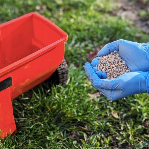 Wapno Ogrodowe Nawozowe Do Trawników Warzyw Owoców Dolomit Granulowane na Arena.pl