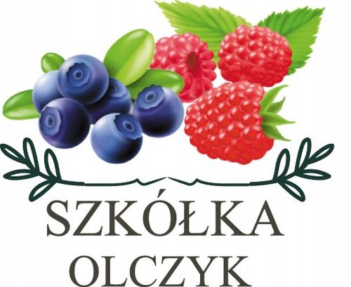 Jagoda Kamczacka Wojtek 5 letnia 7,5 litrowa na Arena.pl