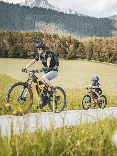 Linka Holownicza hol Do Roweru Trax PRO na Arena.pl