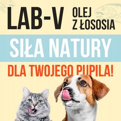 LAB V Olej z łososia dla psów i kotów 1000ml na Arena.pl