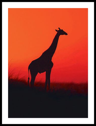 Plakat 40x55cm Żyrafa w Czerni na Arena.pl