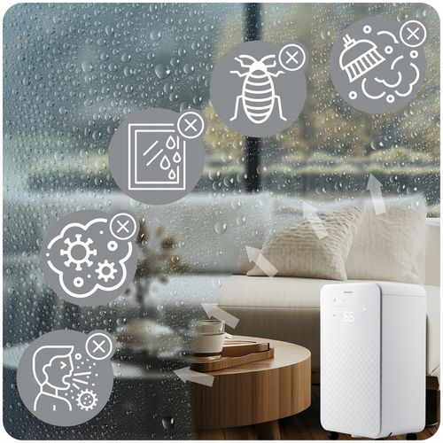 Osuszacz powietrza pochłaniacz wilgoci 12l/24h BERDSEN higrostat timer na Arena.pl