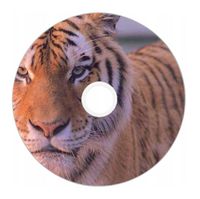 Nadruk na płycie Maxell DVD-R 4,7G 16x 053