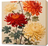 Obraz 70x70cm Tańczące Chryzantemy