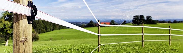 TAŚMA OGRODZENIOWA BASIC DLA KONI 200 MB / 20 MM BIAŁA PASTUCH zdjęcie 2