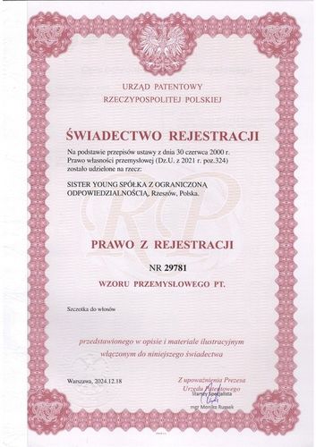 Szczotka do włosów Długich, Gęstych, Prostych, Kręconych, Suchych Fioletowa na Arena.pl