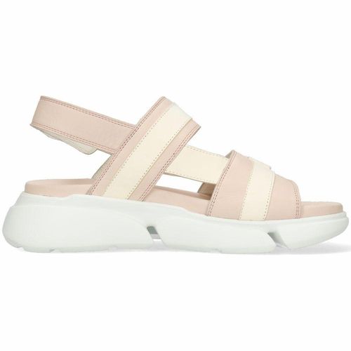 MODO397. MELVIN&HAMILTON Josie 2 R.37 na Arena.pl