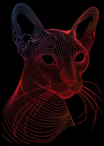 Plakat 42x59,4cm Cyfrowa Kocica na Arena.pl