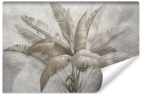 Fototapeta Ścienna LIŚCIE Egzotyczne Beton Rośliny Natura 135cm x 90cm