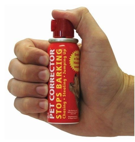 Pet Corrector 30ml na Arena.pl