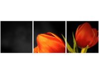 90X30CM TULIPANY TRÓJ OBRAZ