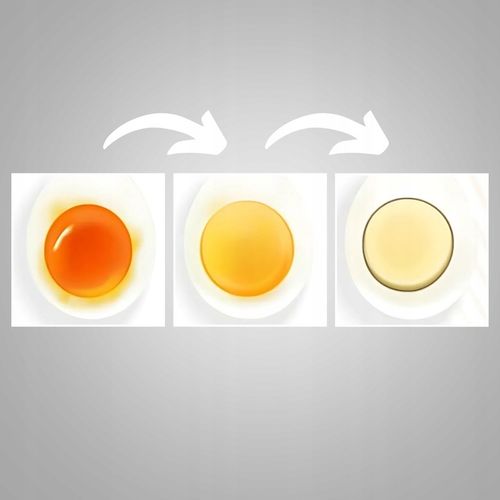 Jajowar elektryczny automat do gotowania jajek na Arena.pl