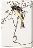 Obraz 60x90cm Siberian Blue-Tail, Kashu Japoński Vintage