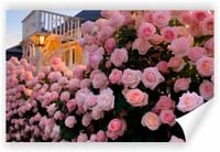 product-compare-62133495