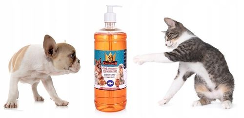 GoldDog Olej z Łososia 1l dla psa i kota na Arena.pl