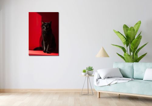 Obraz 60x90cm Elegancja w Cieniu na Arena.pl